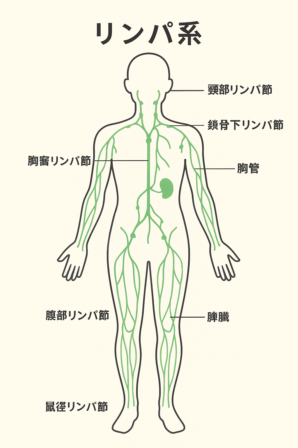 9A8AD943-94B2-4A68-B4A1-FB4CD84D20C4.pn